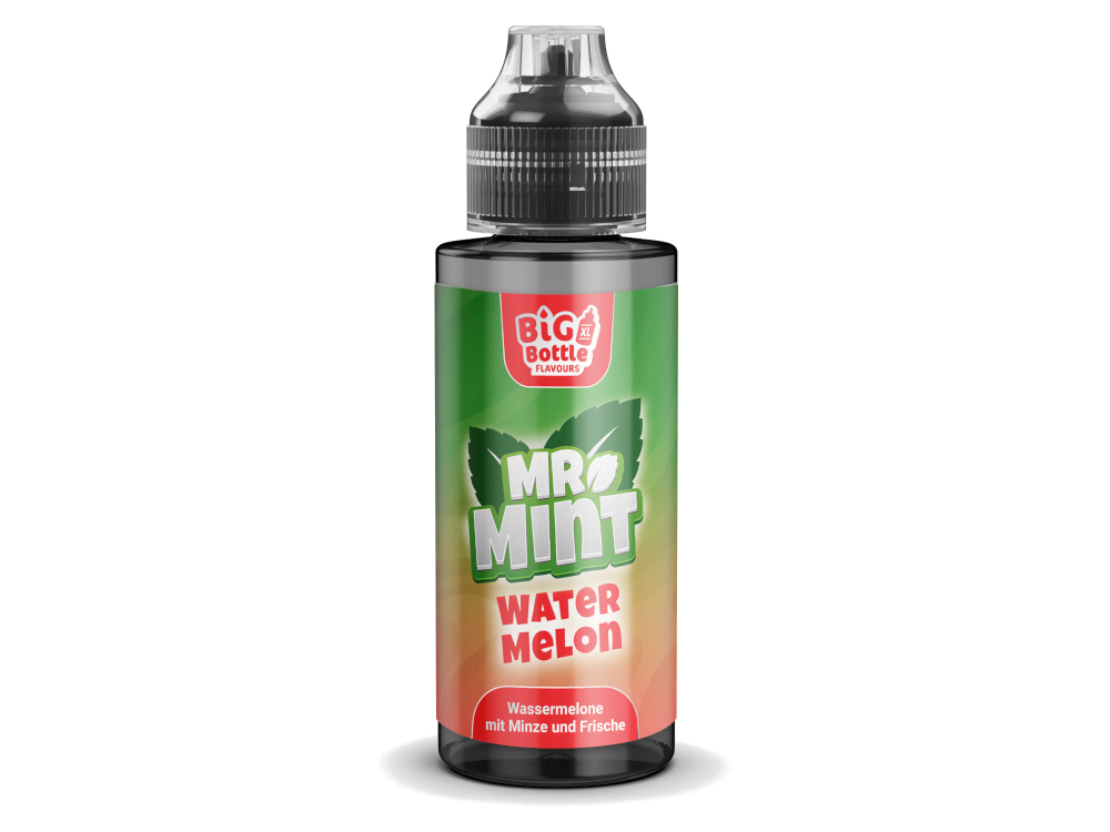 Mr. Mint by Big Bottle - Longfills 10 ml